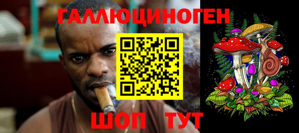 Галлюциногенные грибы Cubensis Кимры