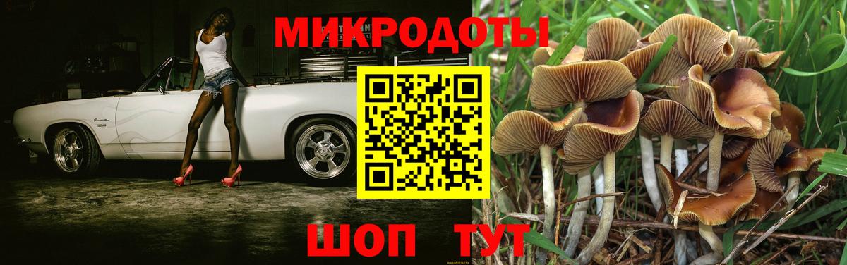 Псилоцибиновые грибы Psilocybe  Вход с VPN  Галлюциногенные грибы ЛСД  Кимры 